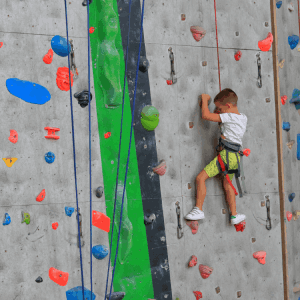 The Hidden Sense: Revealing the Importance of Proprioception