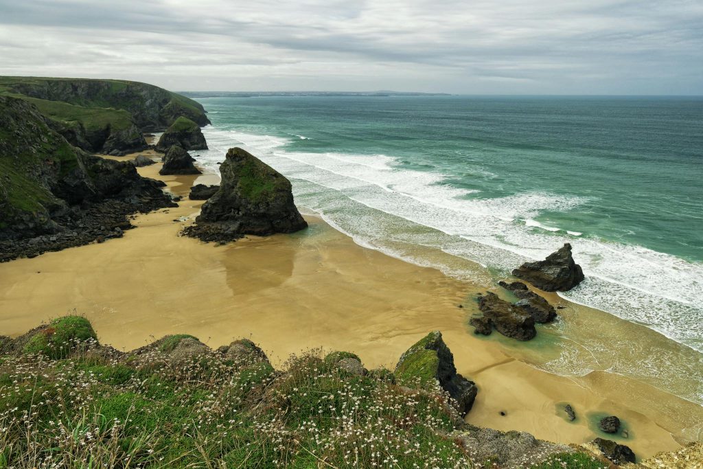 A sandy beach with green grass and water