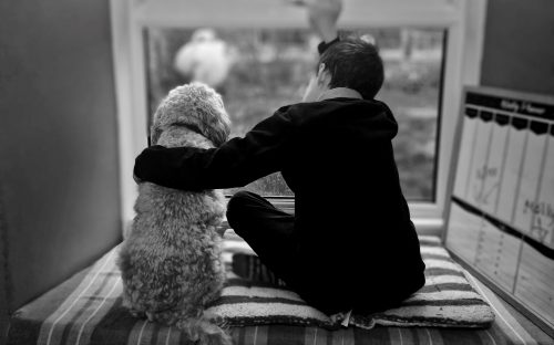 photo of a boy and his dog, looking out of the window. Parenting Children with Sensory Needs: Navigating Stress and Burnout. parenting children with sensory needs
